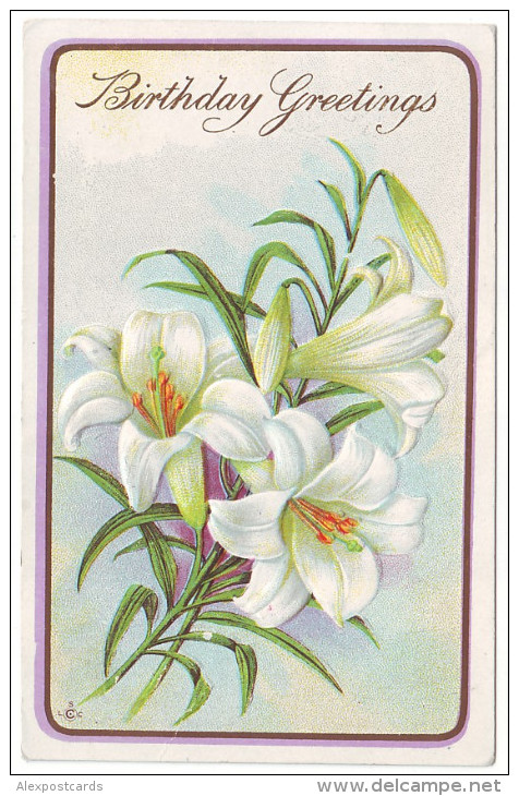 BIRTHDAY GREETINGS. LILY FLOWERS. Embossed (Postally Used, PM 1913) - Andere & Zonder Classificatie