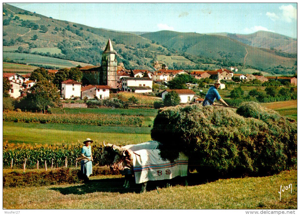 CPM   AINHOA   Le Village Et Ses Environs Avec Dans Un Champ Un Attelage De Boeufs  Un Jour De Ramassage De Foin - Ainhoa