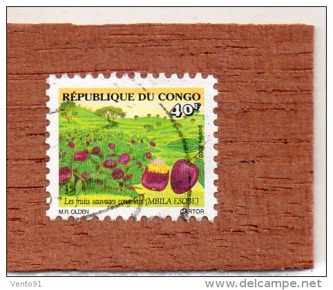 REP.  DU  CONGO  --  MBILA  ESOBE  --  FRUIT SAUVAGE  CONGOLAIS   -- ** 40 F. ** --  POSTE  2002  --  BEG - Oblitérés