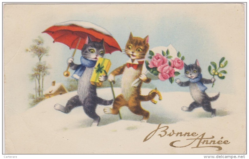 Bonne Année Avec Chat,cat,chaton,fleurs Cadeau,neige,chat D´apparence Humaine,animaux Porte Bonheur - Neujahr