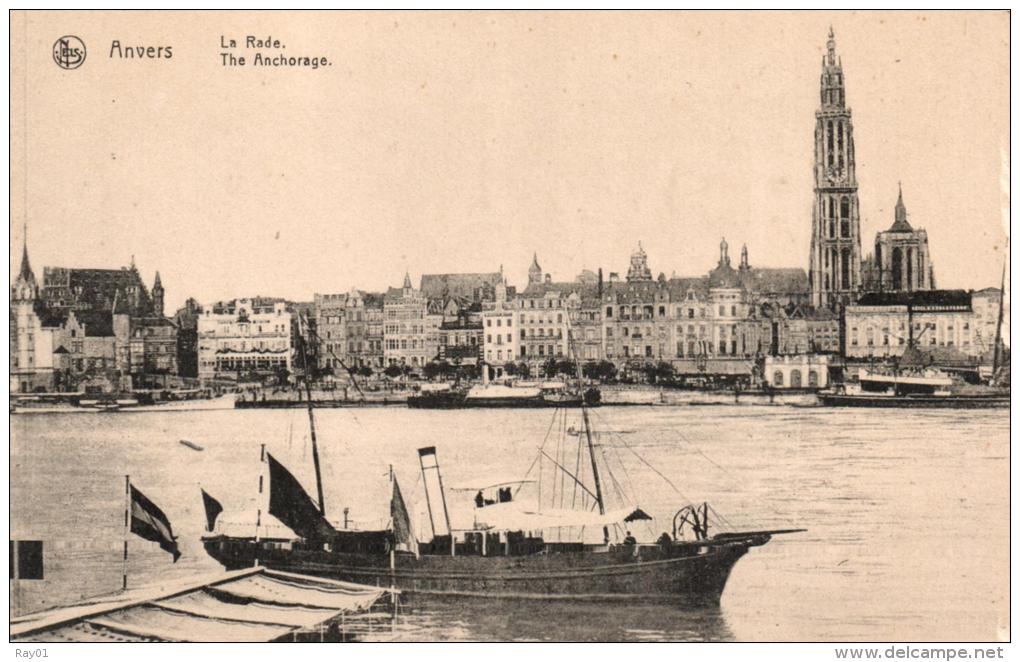 BELGIQUE - ANVERS - ANTWERPEN - La Rade. - Antwerpen