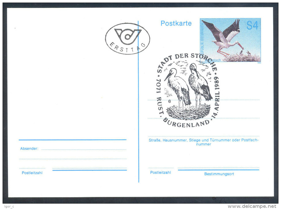 Austria Fauna Stork Störche 1997 Postal Stationary Card Stork Nest Stamp And Cancellation - Cigognes & échassiers