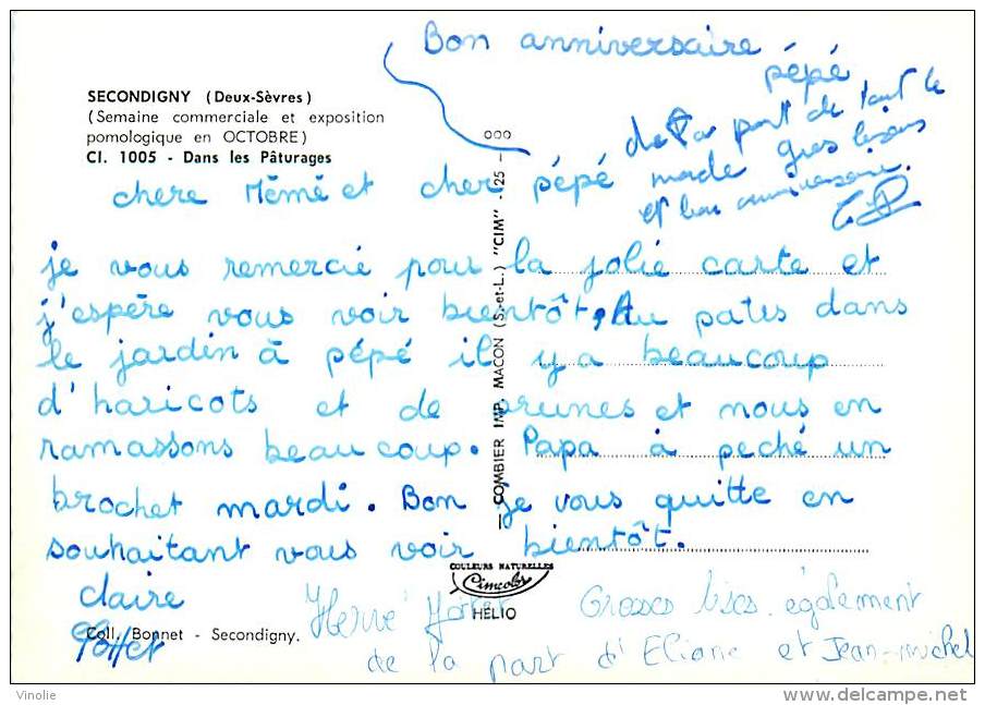 Réf : N-14-512 : Secondigny - Secondigny