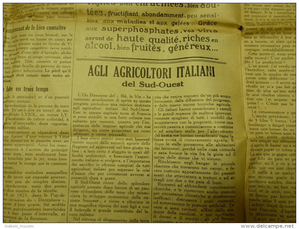 1930 LE BLE, LE VIN Journal Peu Connu...dont Texte En Occitan "Lé Cadéttou Dé Bordo Nobo" : - Autres & Non Classés