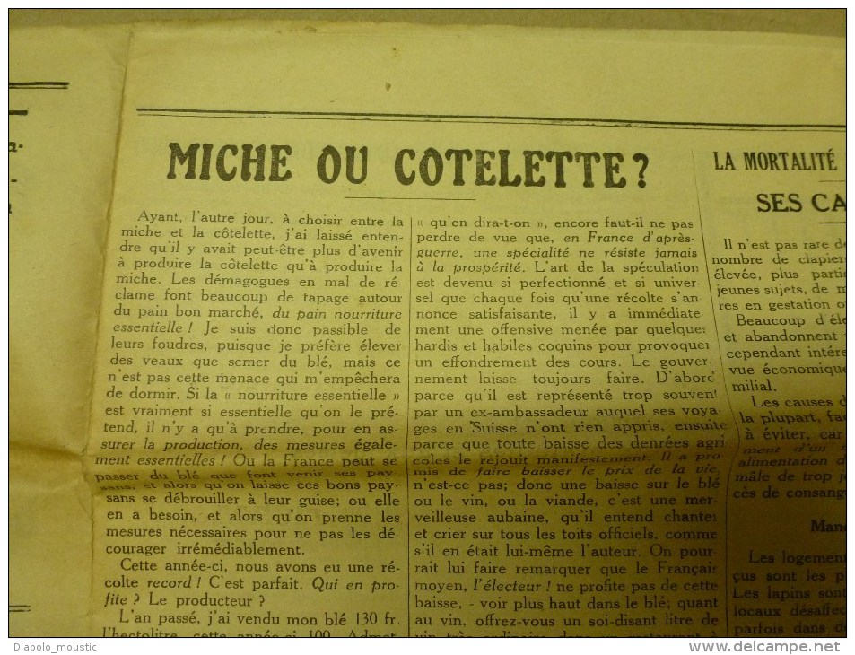 1930 LE BLE, LE VIN journal peu connu...dont texte en occitan "Lé cadéttou dé bordo nobo" :