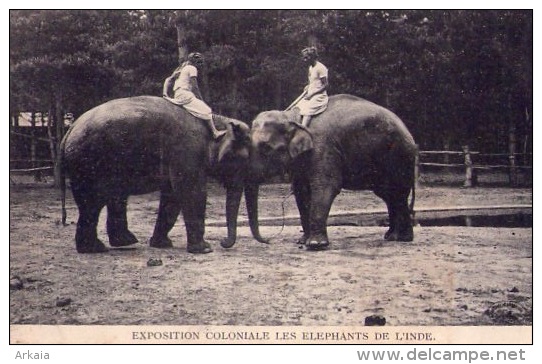 Animaux : Les éléphants De L'Inde - Expostion Coloniale  (vierge) - Elefanti
