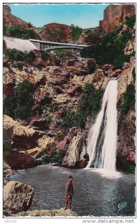 CPSM Tlemcen - Cascade De L'Oued Mefrouch-El-Ourit (6610) - Tlemcen