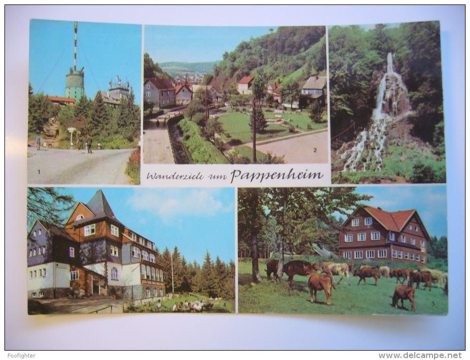 Germany: Wanderziele Um Pappenheim - Am Platz Der DSF, Spießberghaus, Berghotel Ebertswiese - 1974 Used - Pappenheim