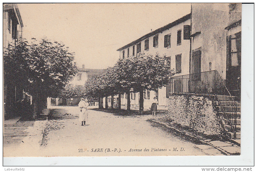 PAYS BASQUE - SARE - Avenue Des Platanes - Sare