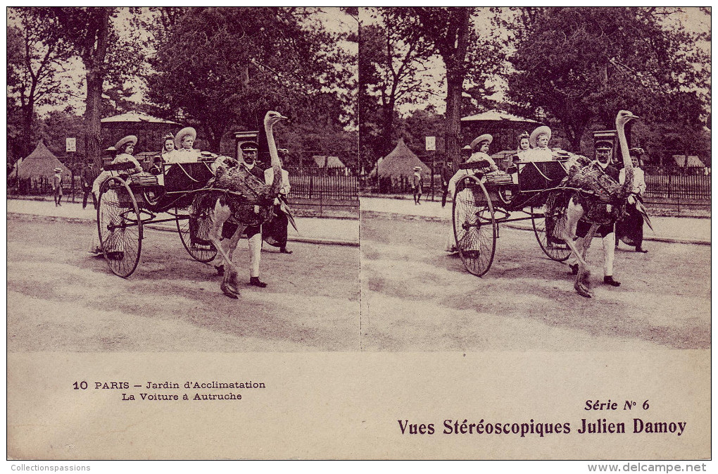 75 - PARIS - Carte Stéréo - Jardin D'acclimatation. Voiture à Autruche - - Altri & Non Classificati