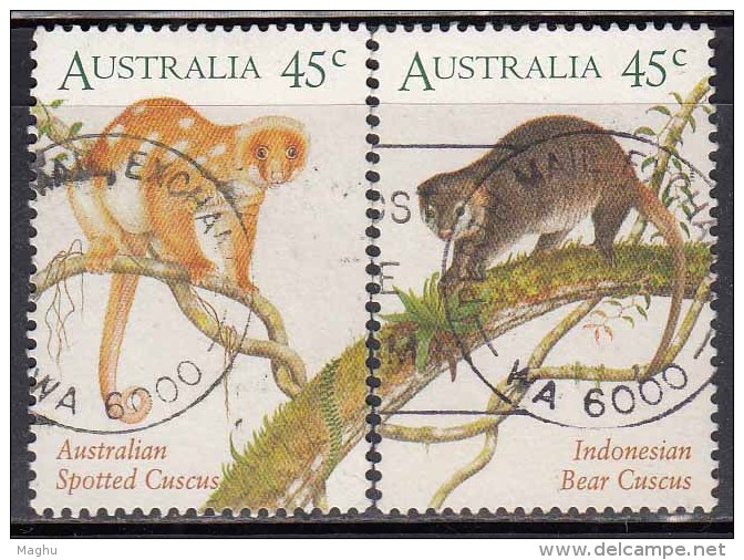 Australia Used 1996, Set Of 2, Indonesia Joint Issue, Spotted Cuscus, Bear Cusucus, Monkey, Animal,  (sample Image) - Gebraucht