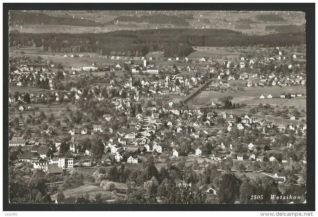 WETZIKON Zürich Bezirk Hinwil Am Pfäffikersee 1956 - Hinwil