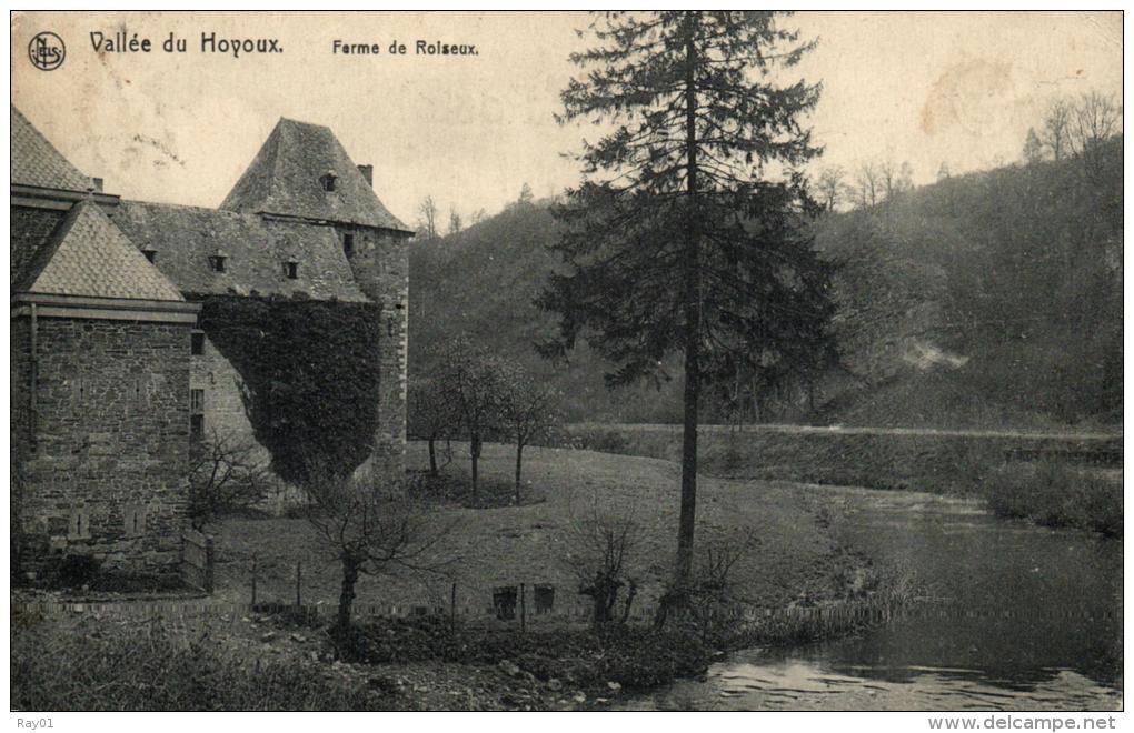 BELGIQUE - LIEGE - MODAVE - Ferme De Roiseux. - Modave