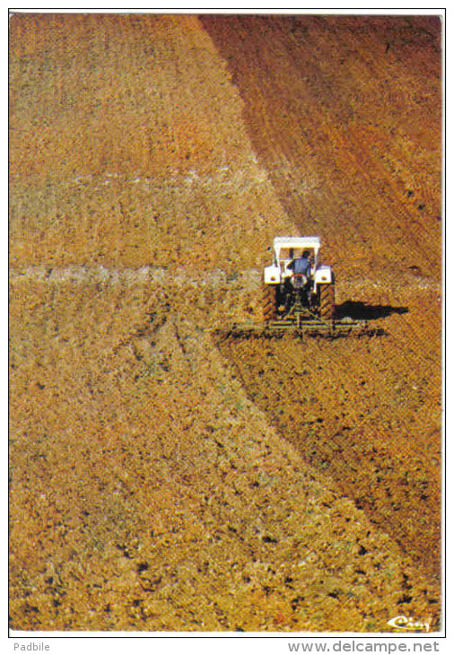 Carte Postale Agriculture Ferme  Tracteur  Trés Beau Plan - Tracteurs