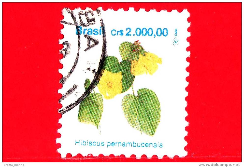 BRASILE - Usato - 1992 - Flora - Hibiscus Pernambucensis - 2000.00 - Used Stamps