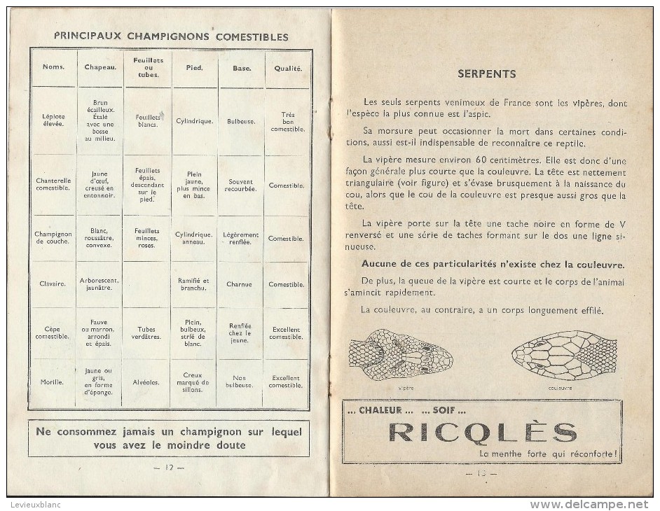 Fascicule/Publicités Pharmaceutiques/ L´Eté Ses Dangers /Vers 1930  LIV37 - Sin Clasificación