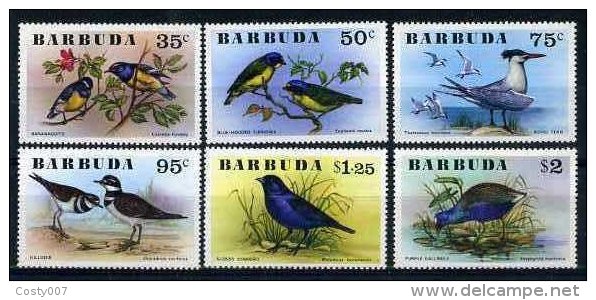 Barbuda 1976 Birds MNH S.695 - Barbados (1966-...)