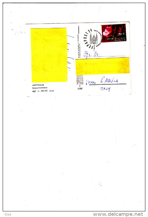 OLANDA  1994 -  Cartolina Illustrata - Fiori - Covers & Documents