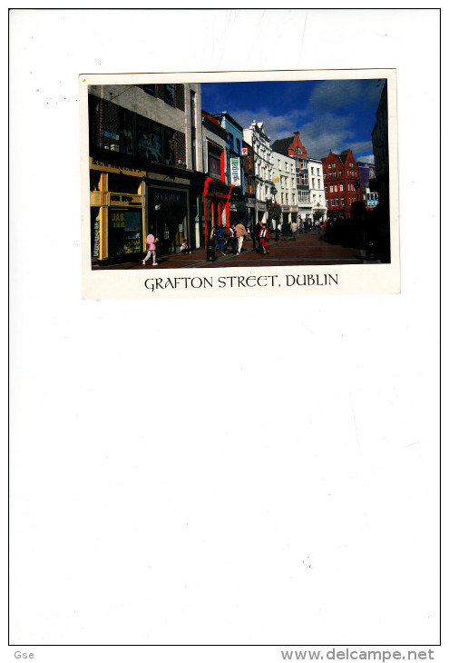 IRLANDA 2006 - Cartolina Illustrata - Fiori - Storia Postale