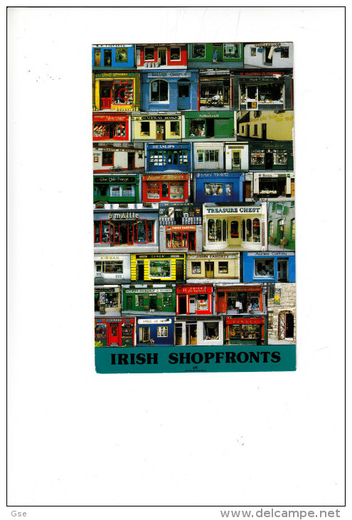 IRLANDA  1984 - Cartolina Illustrata -  Uccelli - Storia Postale