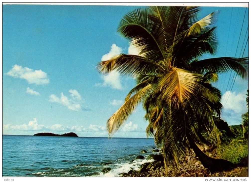 C P M-----ANTILLES TOURISTIQUES-----GREVE CARAI'BE -----voir 2 Scans - Autres & Non Classés