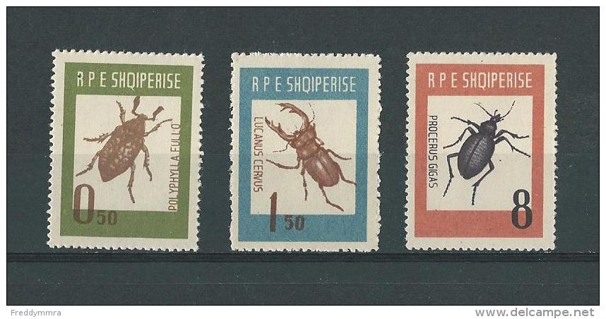 Albanie: 616/ 618  **  Insectes - Autres & Non Classés