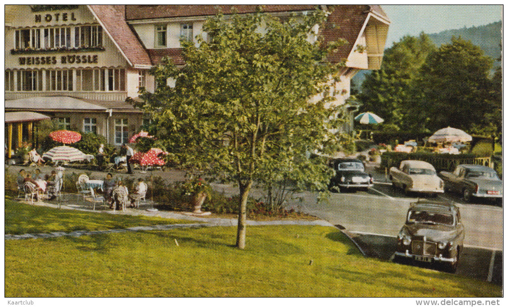 Hinterzarten: ROVER P4, STUDEBAKER COMMANDER, OPEL KAPITÄN, MERCEDES 180 PONTON -  Hotel 'Weißer Rößle' - Deutschland - PKW