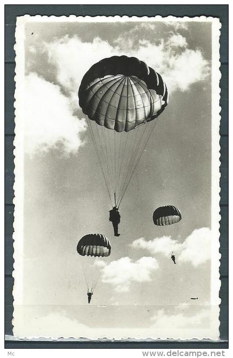 Parachutisme - Carte Photo - 3 Parachutistes En Descente - Fallschirmspringen