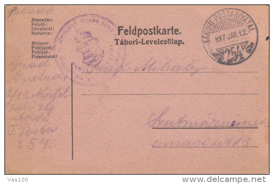 WAR FIELD POSTCARD, CAMP NR 254, CENSORED, 1917, HUNGARY - Storia Postale