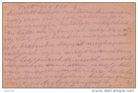 WAR FIELD POSTCARD, CAMP NR 254, CENSORED, 1917, HUNGARY - Briefe U. Dokumente