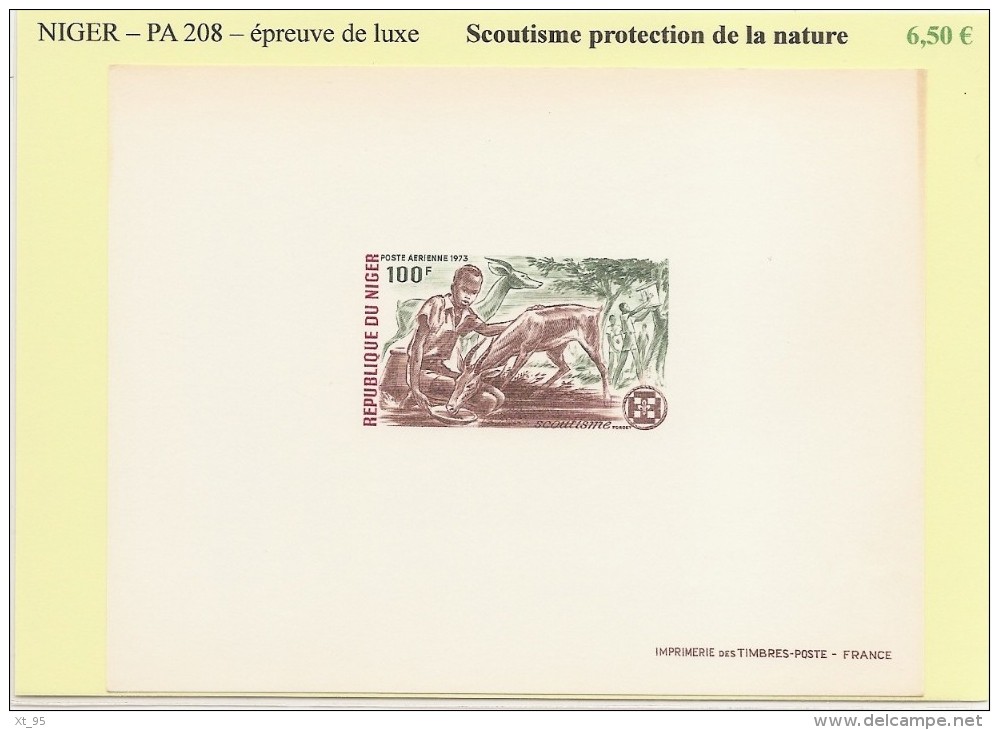 Niger - PA 208 - Scoutisme Et Protection De La Nature - Epreuve De Luxe - Niger (1960-...)