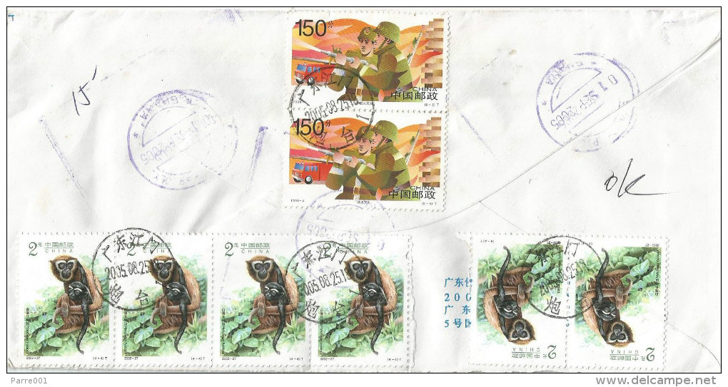 China 2005 Guang Dong Gibon Ape Monkey Fire Workers Barcoded Registered Cover - Apen