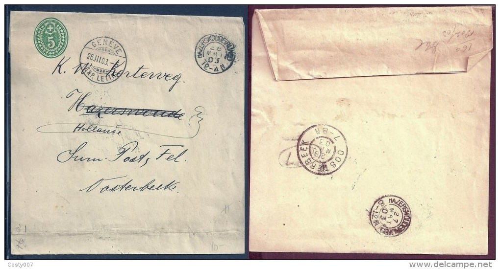 Switzerland 1903 Postal History Rare Old Wrapper Postal Stationary To Netherlands D.340 - Covers & Documents