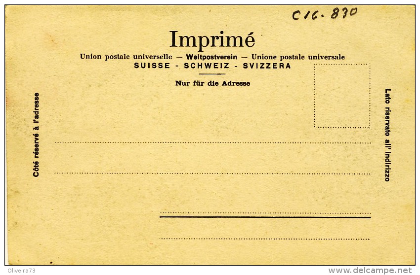 SUISSE / LA CHÛTE DU RHIN. C´est La Plus Puissante Cataracte De L´Europe Centrale  - 2 Scans - Autres & Non Classés