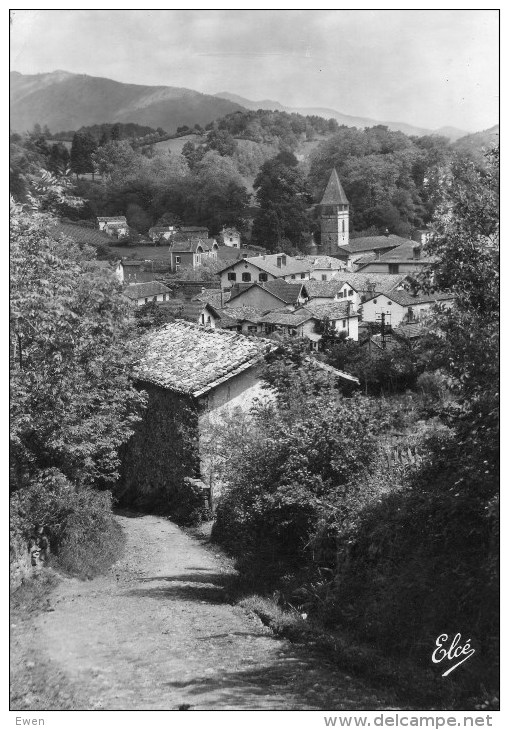 St-Etienne-de-Baigorry. Dans Le Chemin Creux. - Saint Etienne De Baigorry