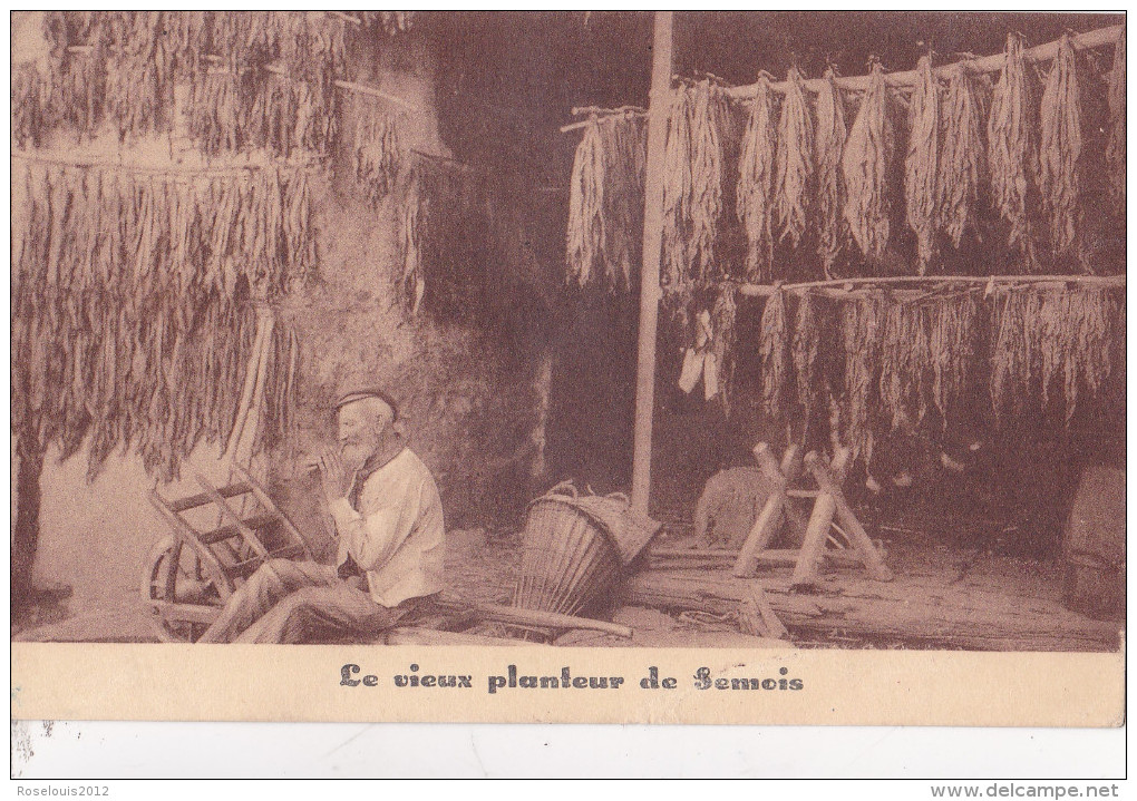 SEMOIS = Maison Didot - Planteur De Tabac - Bouillon