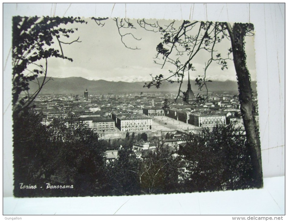 Scorcio Panoramico   "Torino" TO  "Piemonte" (Italia) - Mole Antonelliana