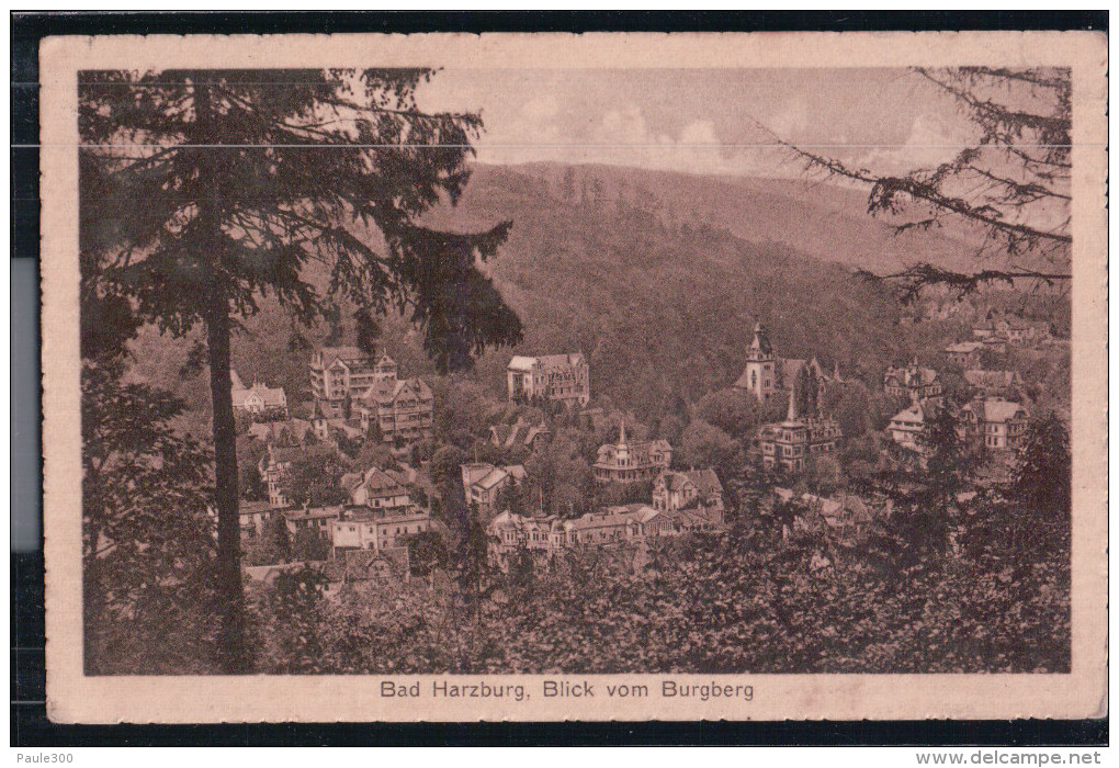 Bad Harzburg - Blick Vom Burgberg - Bad Harzburg