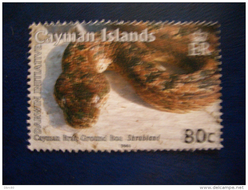Cayman Islands, Darwin Initative, Animals, Snake, Fauna, 2008 - Caimán (Islas)