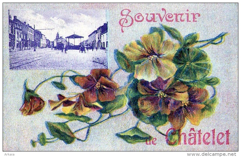 Chatelet : Souvenir De.... - Carte Couleur (1924) - Châtelet