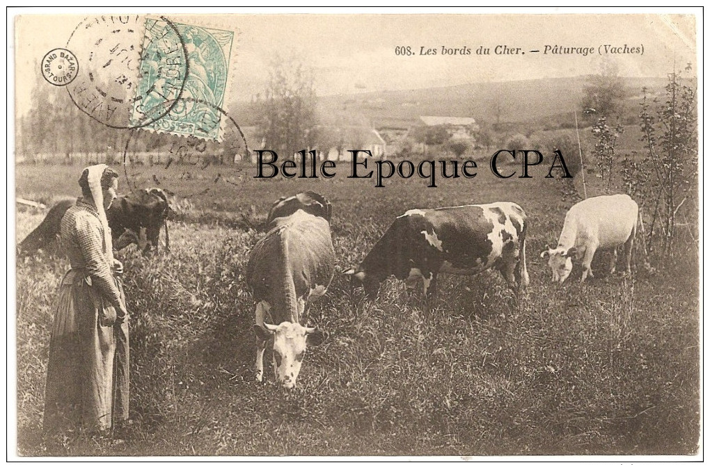 18 - Les Bords Du Cher - Pâturage - Vaches ++++ Grand Bazar, Tours, #608 ++++ Vers Les Riceys, 1905 - Autres & Non Classés