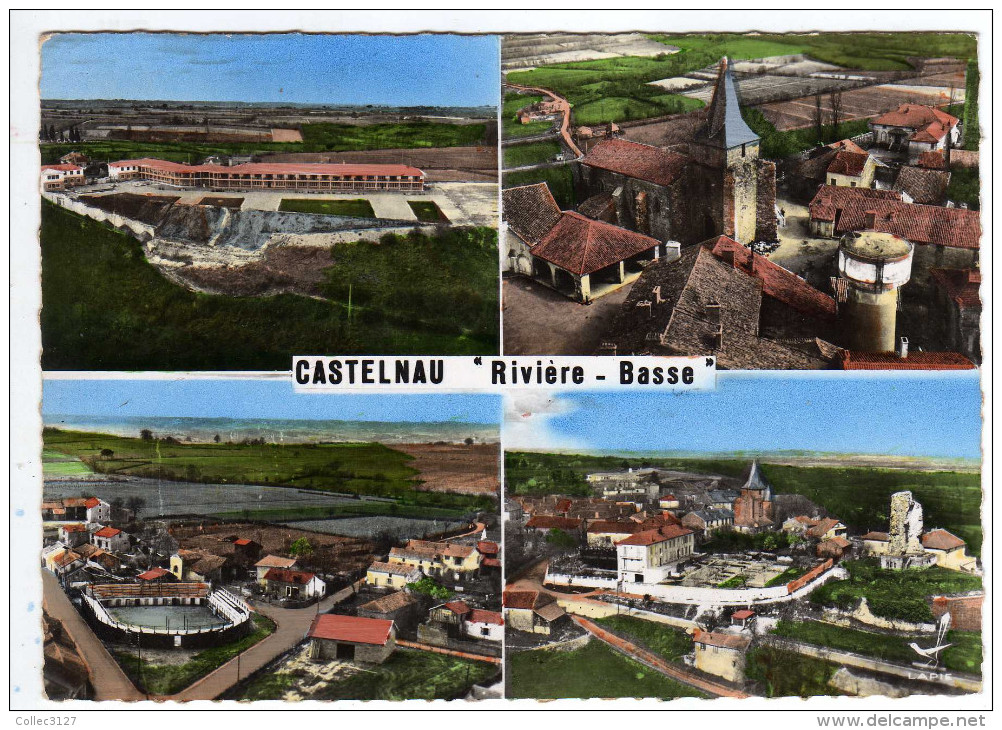 65 - En Avion Au-dessus De Castelnau Riviere Basse - Multivues - Preventorium -  Eglise - Arenes - Vue Panoramique - - Castelnau Riviere Basse