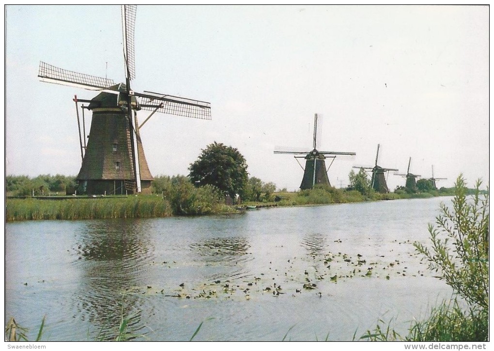 NL.- Kinderdijk. Hollandse Molens. Moulins à Vent. Dutch Windmills. Holländische Mühlen. 2 Scans - Kinderdijk