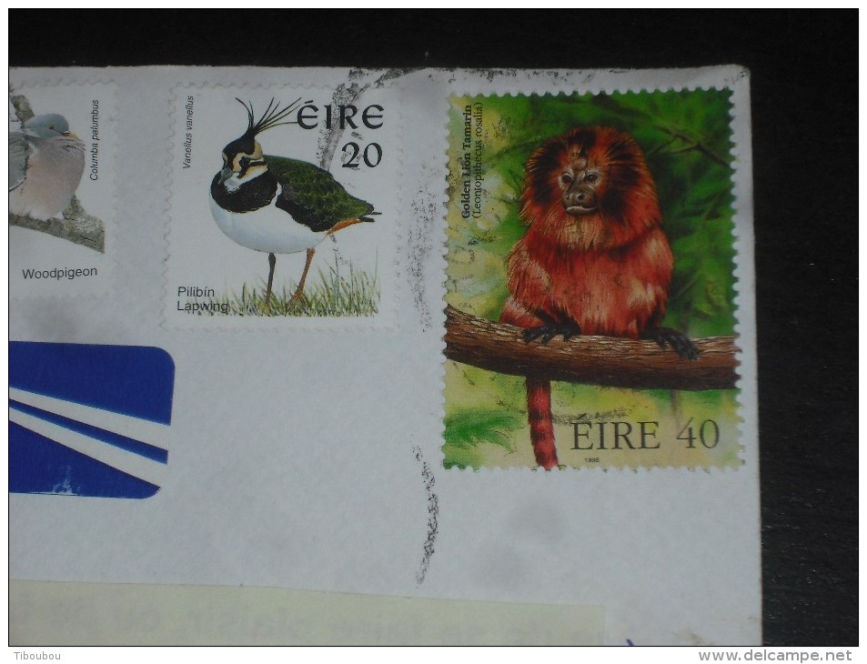 LETTRE IRLANDE IRELAND EIRE AVEC YT 1021 1022 1023 1057 1025 1108 - FAUNE OISEAU BIRD SINGE MONKEY - - Covers & Documents