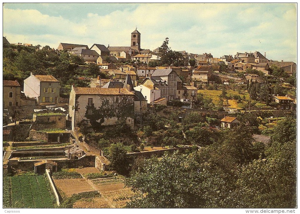 Argenton-Château Vue Générale Très Bon Etat - Argenton Chateau