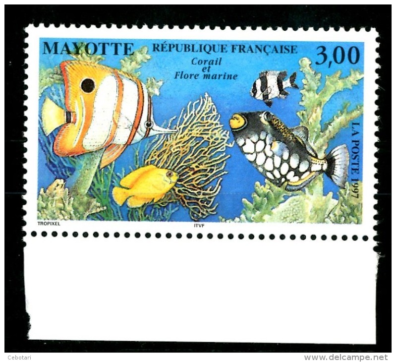 MAYOTTE 1997** - Flora Marina - 1 Val. MNH Come Da Scansione - Unused Stamps