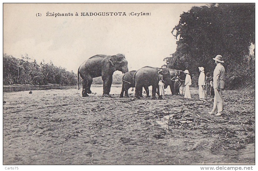Sri-Lanka - Ceylan - Kadogustota - Colonial - Elephant - Sri Lanka (Ceylon)
