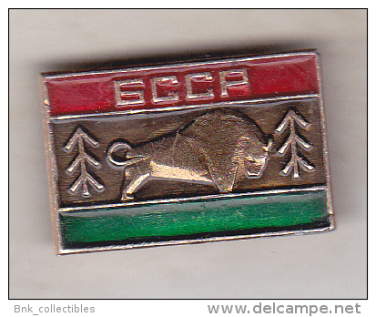 USSR Belarus Old Pin Badge  - Republics And Regions - Byelorussian Soviet Socialist Republic - Other & Unclassified