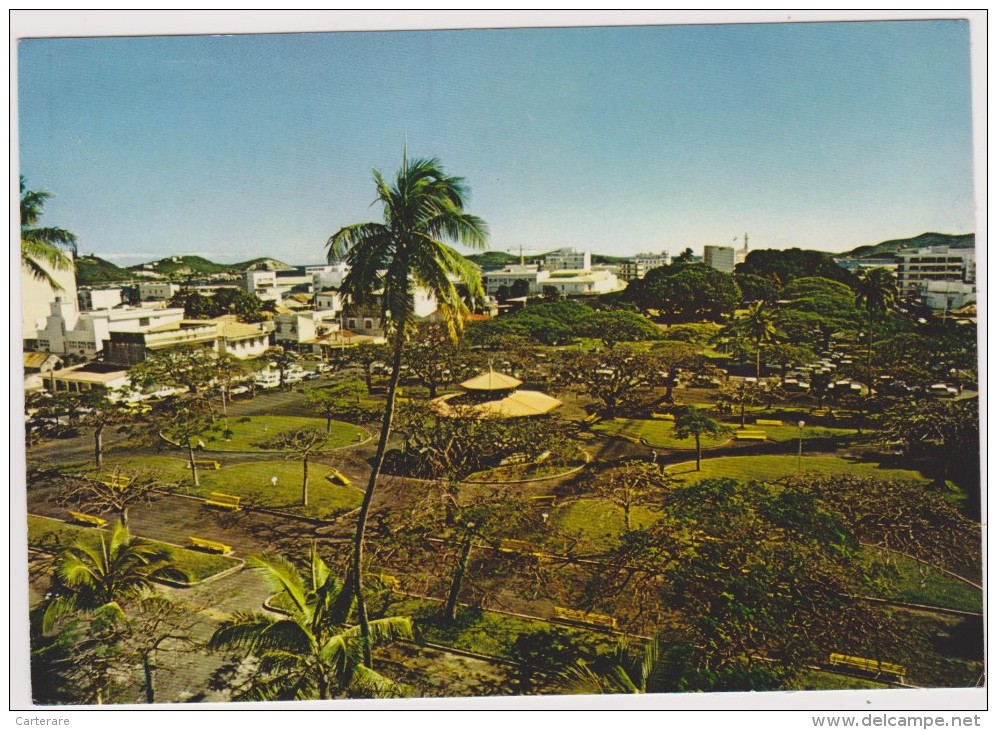 NOUVELLE CALEDONIE,NEW CALEDONIA,ex Souveraineté Française,océan Pacifique,NOUMEA,plantation Cocotier - Nouvelle Calédonie