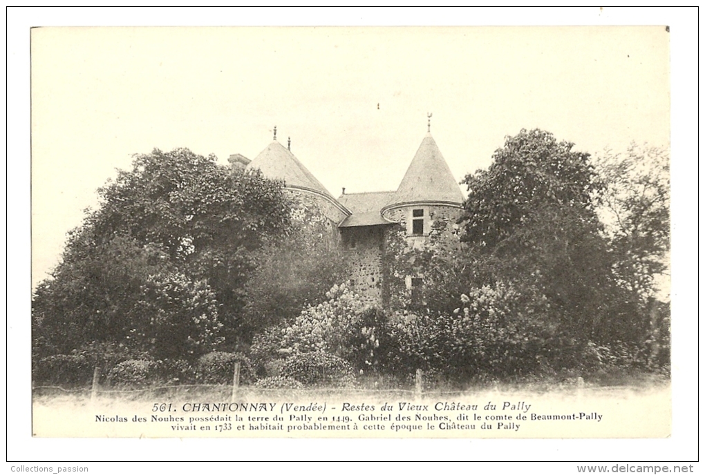 Cp, 85, Chantonnay, Restes Du Vieux Château Du Pally - Chantonnay